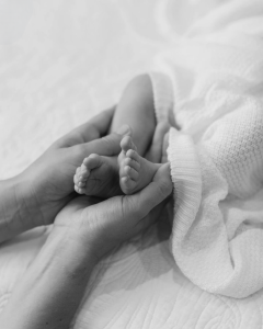 Erase_objects_20240629_214727_0